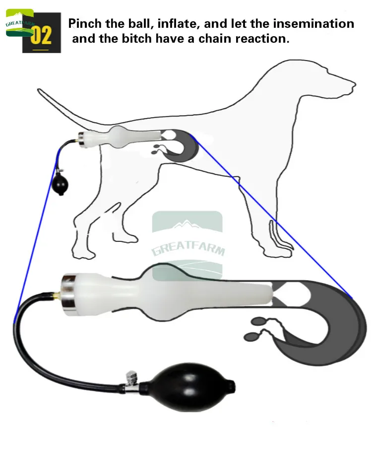 Dog Ai Artificial Insemination Dog Professional Imitation Nature Mating