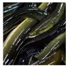 wholesale fresh and frozen eels with eels fillet and eels maw