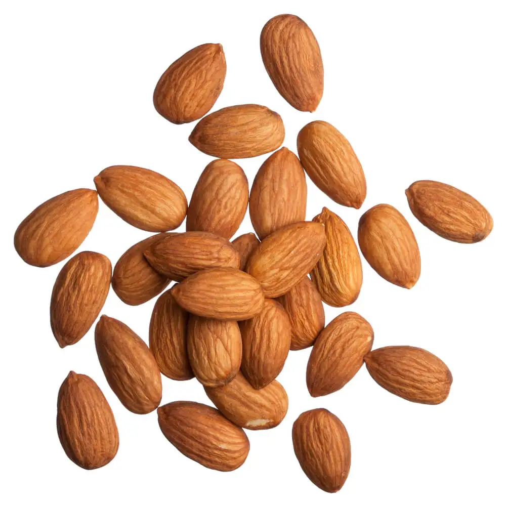 new harvest quality raw almonds nuts