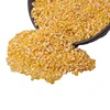 Yellow corn grain maize for animal feed