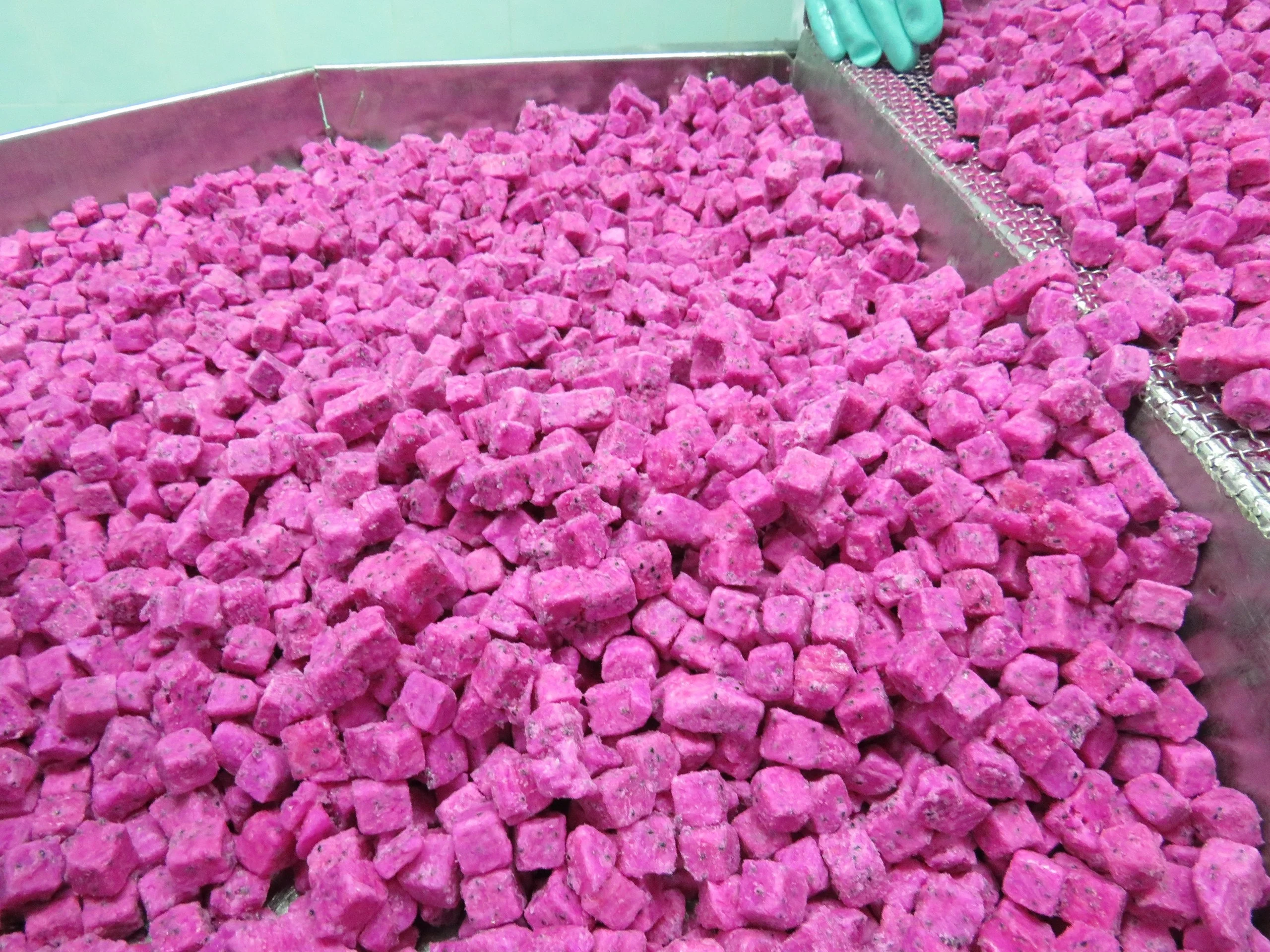 2022 Newest Crop Of Frozen Dragon Fruit Iqf Dice Chunk Half Cut Dragon