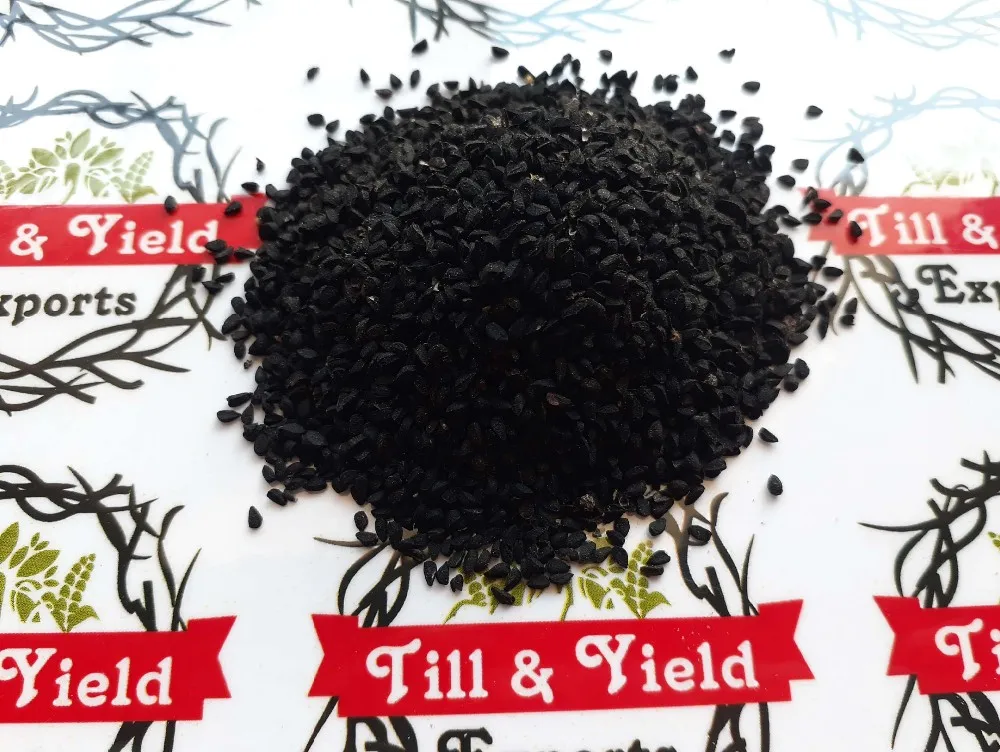 出口質量黑小茴香/nigella 種子 (印度 kalonji)