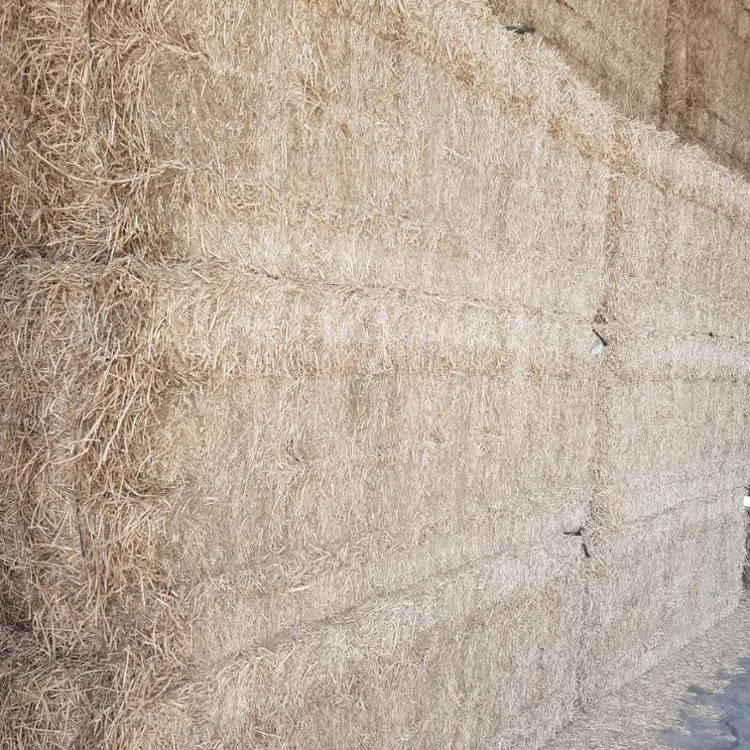 Wheat Straw For Animal Feed Buy Wheat Straw Chopped Wheat Straw Feed Animal Ruminants Fiber