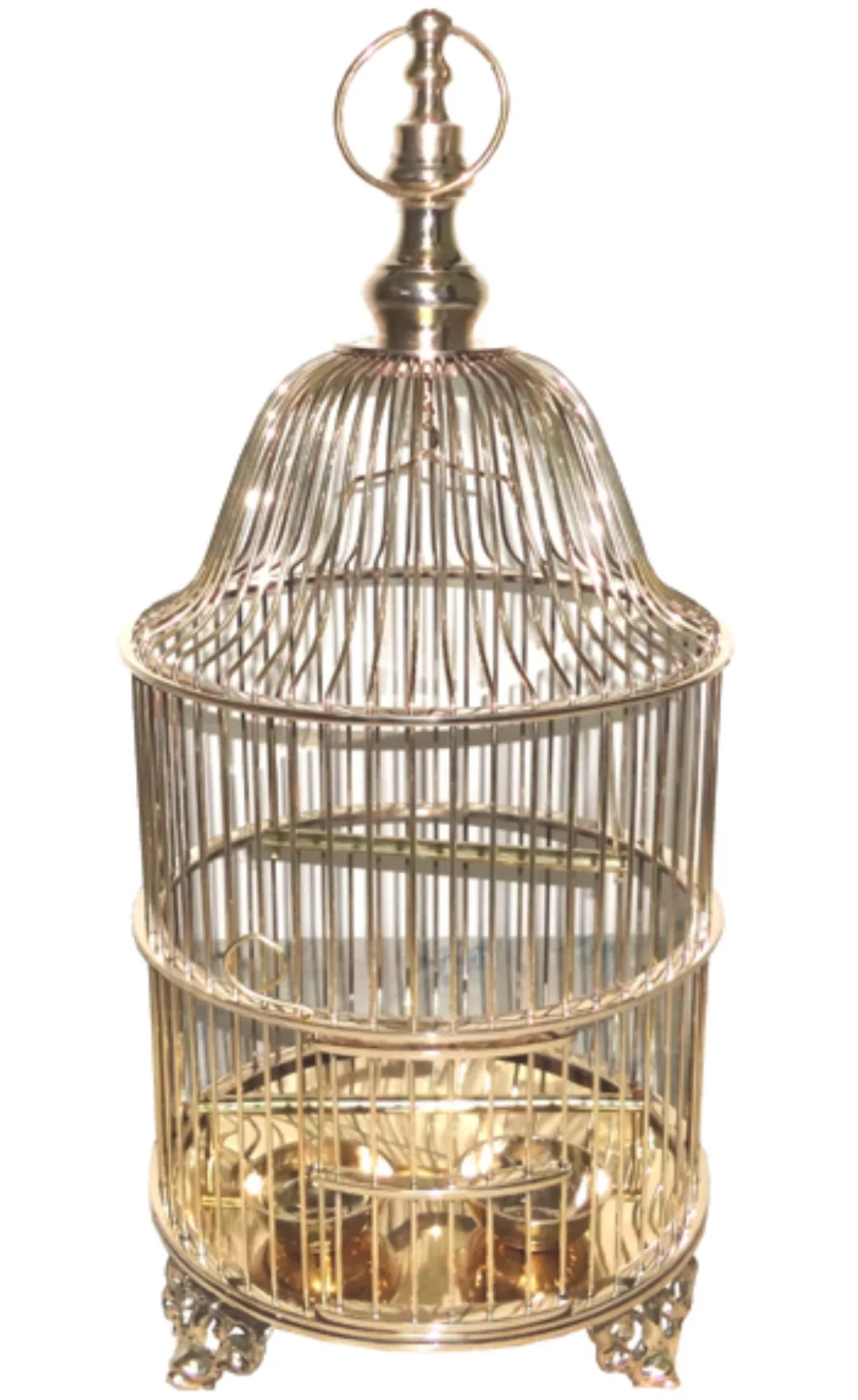 Stylish Bird Cage For Parrot Budgie Canary Pigeon Round Shape Decorative Gold Polished Metal