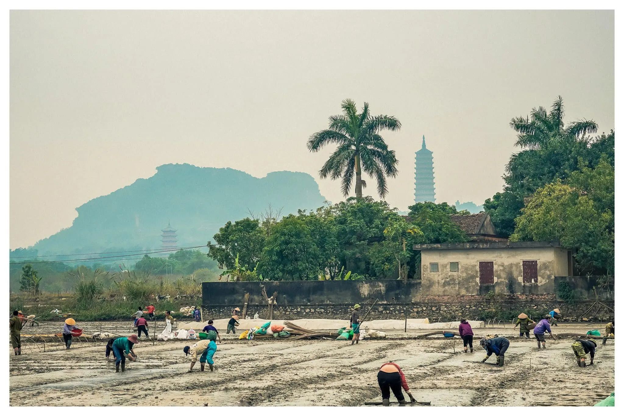 Wholesale Face Skin Whitening Body Bath Bar Turmeric Soap Handmade