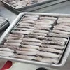 FROZEN CUT POULP SQUID ALL SIZE- BEST PRICE