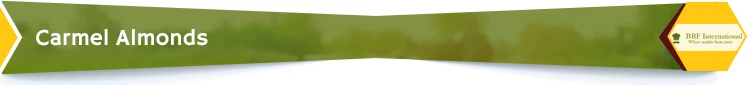 Title-copy.jpg