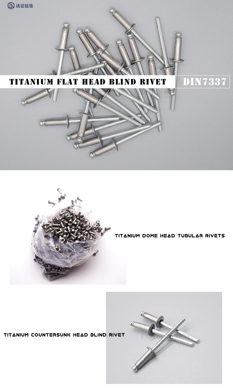 RIVET1.jpg