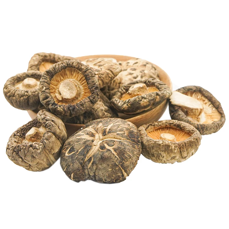 Pure Dried Shiitake,The Best Vietnamese Dried Shiitakeivy Hh+