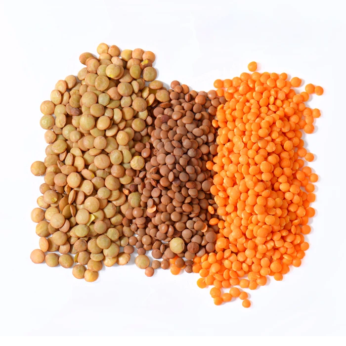 
Whole sale Top Grade Lentils 