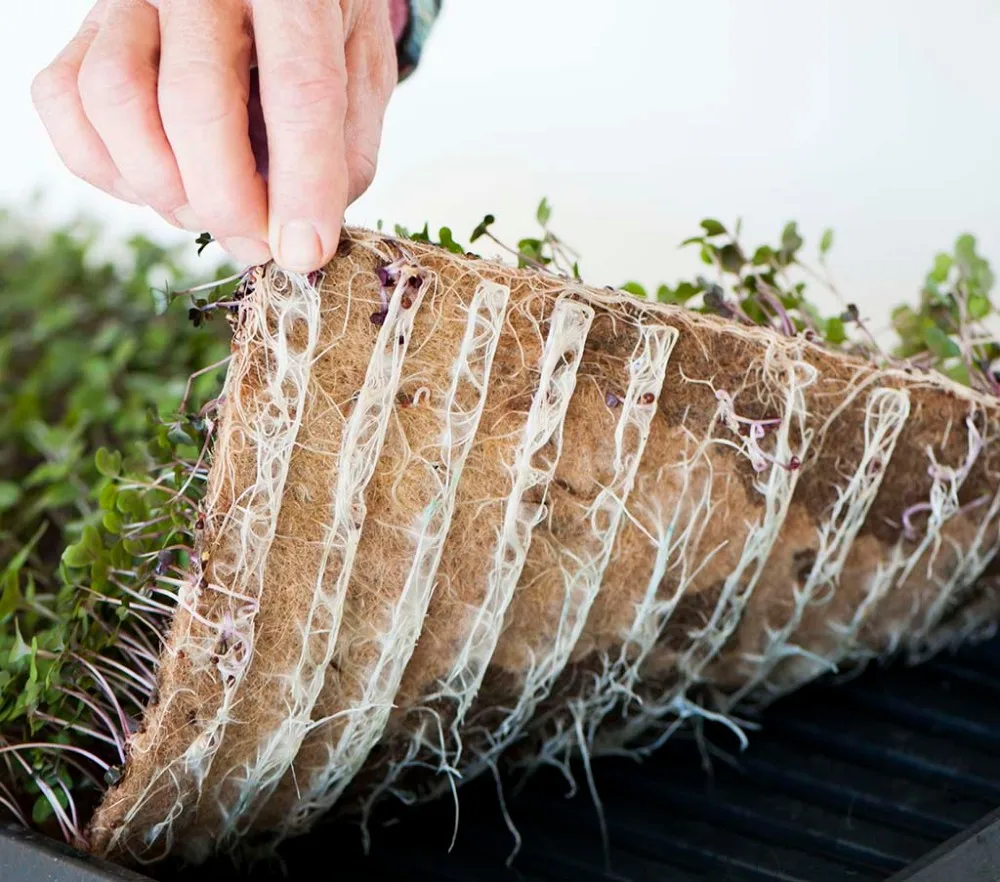 Coconut Coir Mats/ Coco Fiber Sheets For Microgreen (ms Jenny) Buy