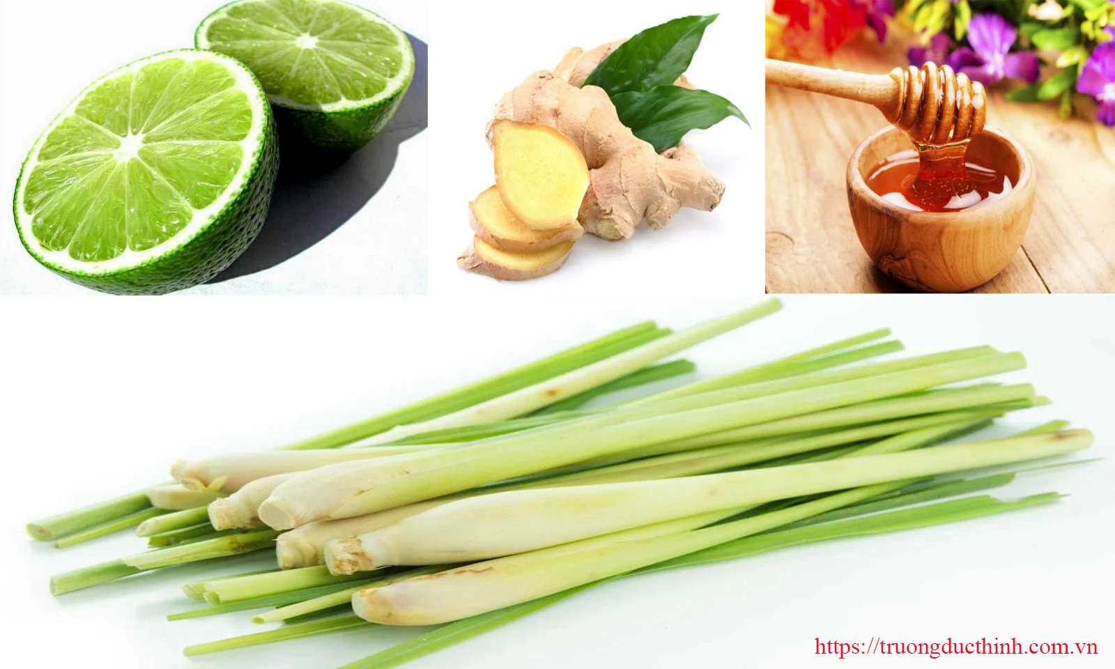 lemongrass ginger honey.jpg