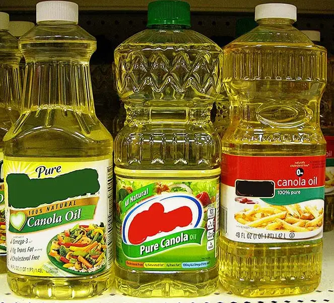 canola 3.jpg