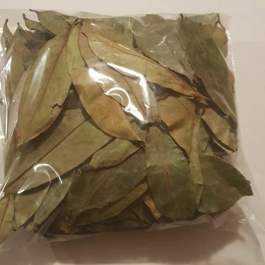 Best Quality Dried Graviola/soursop Leaf From Vietnam/ Ms.thi Nguyen ...