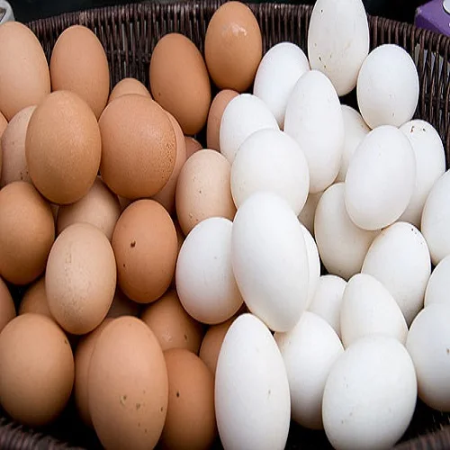 Fresh Chicken Table Eggs Brown And White Shell Chicken Eggs For Sell