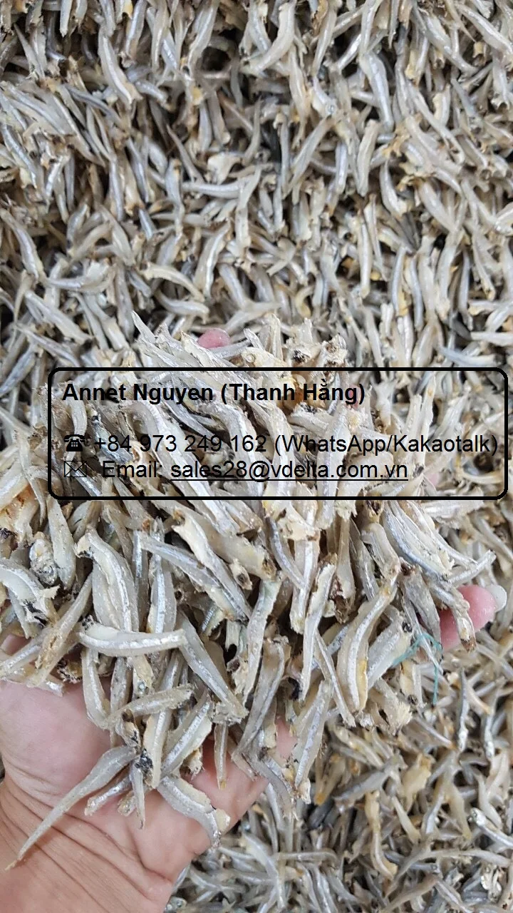 Salted Dried Anchovy / Steamed Anchovies Fish Origin Viet Nam With High