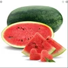 Minh Phuong Vietnam High Quality Fresh Water Melon Fruit