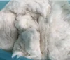 Best Cotton Comber Noil, Bleached Cotton