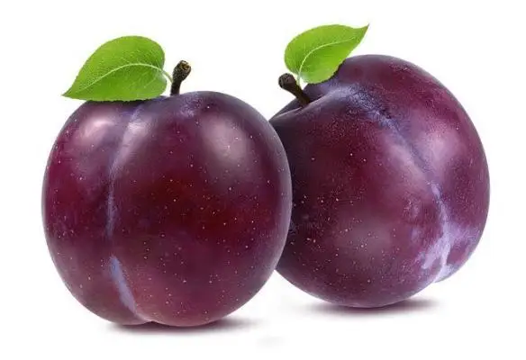 jhccghjhg.jpg