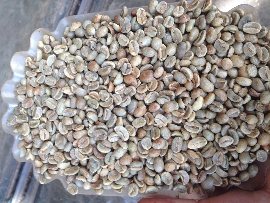 Arabica / Robusta Coffee Bean From Vietnam (ms.brian +84 796855283
