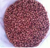INDIAN PEANUT OR GROUNDNUT KERNEL BOLD 40/50