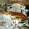 .High Quality Dry and Wet Salted Donkey/Horse hide /Wet Cow Hides.