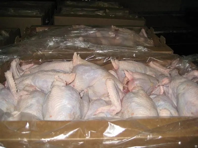 Курица оптом от производителя. Хранение мяса птицы. Хранение тушек птицы. Курица охлажденная хранение.