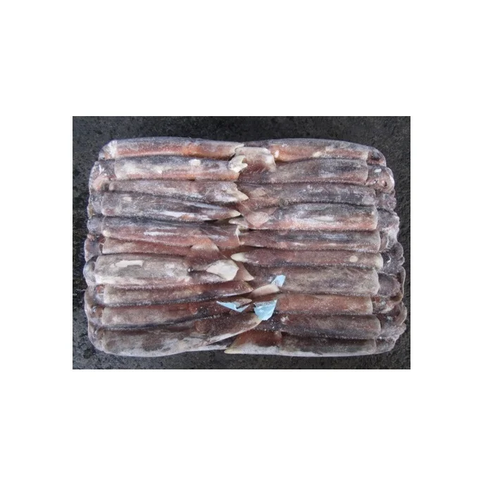 
Wholesale Supplier of Illex Squid Low Price 
