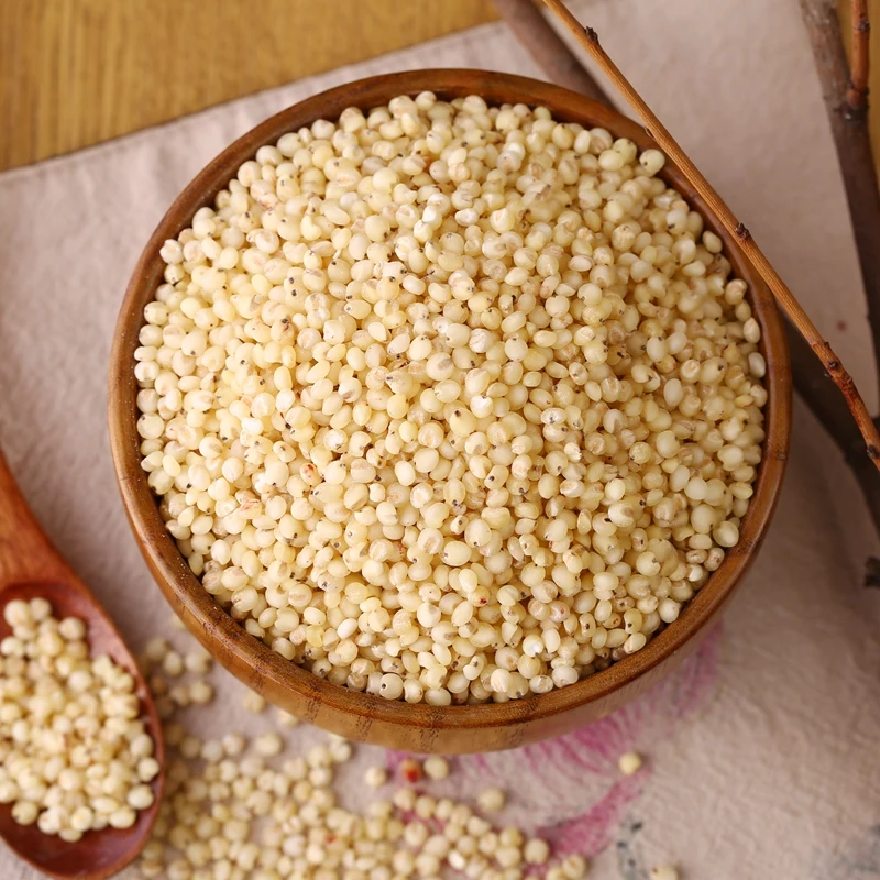 white sorghum6.jpg