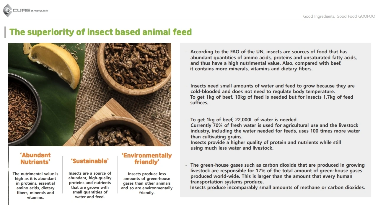 100 Humangrade Insect Protein Pet Food Goofoo 1.5kg Buy Good Food Cureanicare Dog Food Puppy