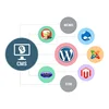 WordPress CMS Development Service In Australia