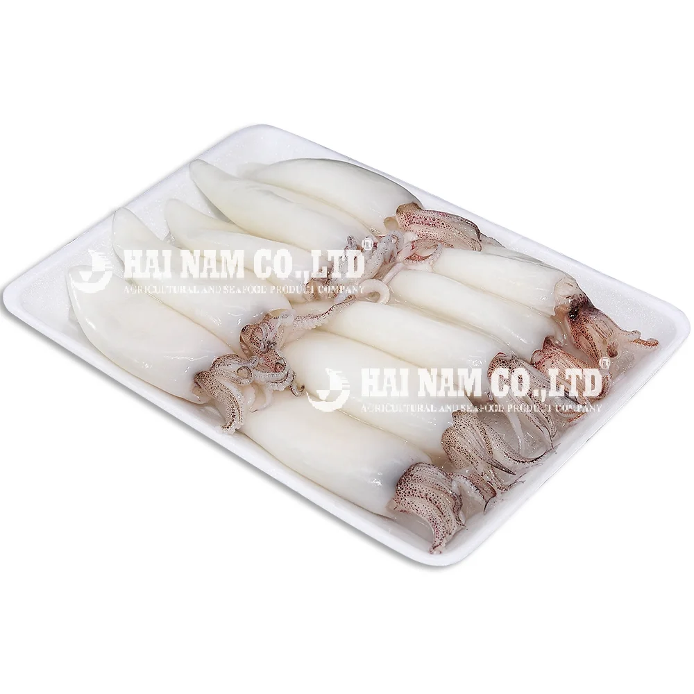 
Nature Frozen Squid Tube with Piece and block shape from Vietnam manufacturer 