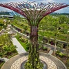 Private custom artificial outdoor landscape decoration steel structure tree