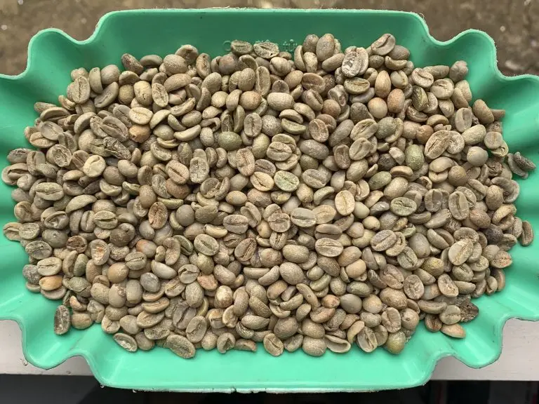 Кофе в капсулах illy iperespresso monoarabica guatemala. Арабика 18. Arabica vietnam green. Arabica golden coffee bao кофе в зернах арабика золотая, 500 г. Кофе в зернах ambassador blue label 1000 г.