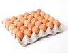 /product-detail/fresh-chicken-table-eggs-white-and-brown-eggs-62012806582.html